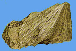 actinolite