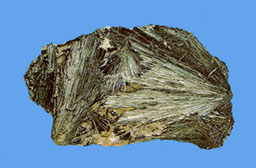 actinolite