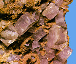 apatite