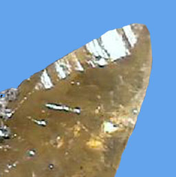 calcite