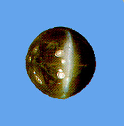 cat's eye