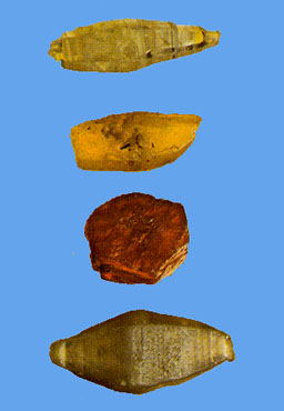 corundum