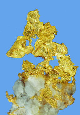 gold
