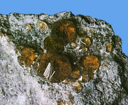 grossular