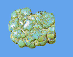  nodular turquoise