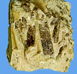 zircon